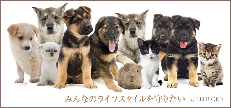 みんなのライフスタイルを守りたい by ELLE ONE